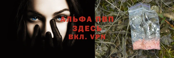 дурь Ессентукская